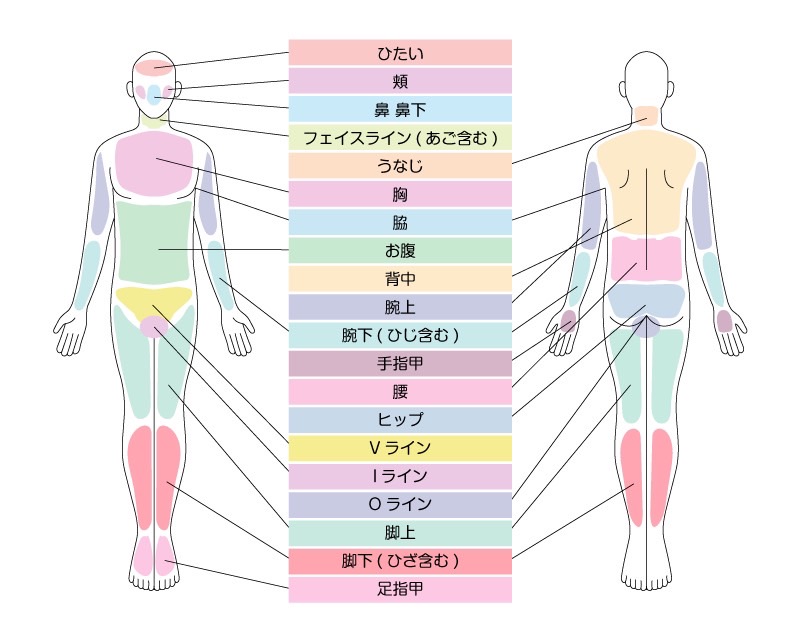 脱毛部位